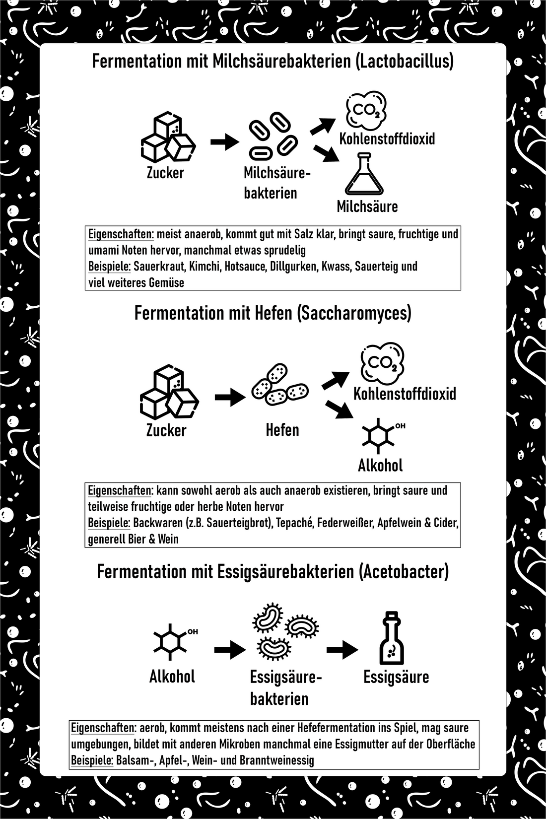 Fermentation: ein Überblick