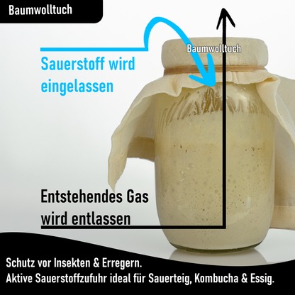 Blubberglas Fermentationskit